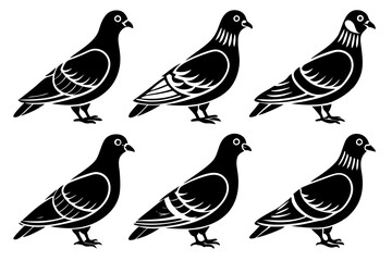 Different Styles of Pigeon Icon Vector Line Art