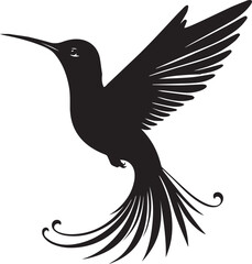 humming bird silhouette vector free download