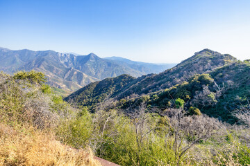 View of the Sierra Nevada and Pine Trees of the Sequoia National Forest and Kings Canyon National Park from Panoramic Point.