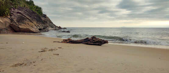 Sea river water beach cove ocean wave sand land stone rock mountain hill forest tree trunk wood flowers bushes vegetation blue sky cloudy cloud horizon landscape island vacation life nature