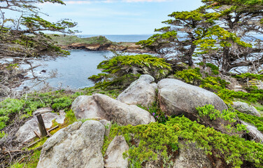 Point Lobos State Natural Reserve, Carmel, Monterey County, California, United States of America