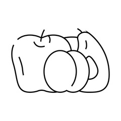 fruit department line icon vector. fruit department sign. isolated contour symbol black illustration