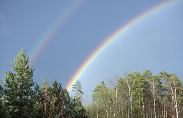 Double rainbow in the blue sky over the forest. Beautiful natural phenomenon.