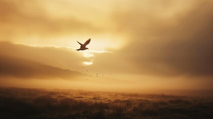 Serene Sunrise Bird in Flight Over Misty Golden Fields Landscape Photography