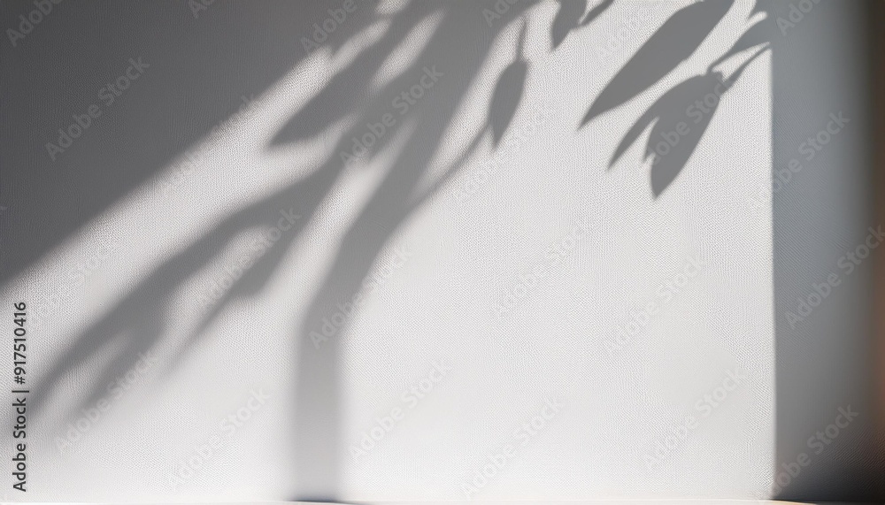 Sticker shadows on a white blank wall