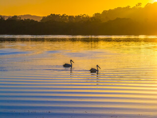 Sunrise at the waterfront
