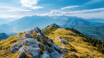 Mountain Peak View