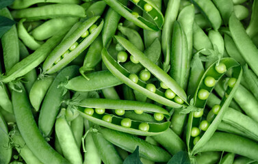 Fresh green peas background. Pods of green peas closeup. Top view, flat lay.