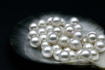 Expensive luxurious Chinese freshwater round pearls in a white shell, to be made into earrings, pendants or necklaces and sold in jewelry store. Popular feminine wedding accessory.