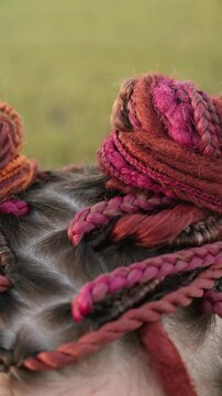 Beautiful young woman hairstyle with colorful hair extensions braid in thin braids and afro braids. Red dreadlocks close up