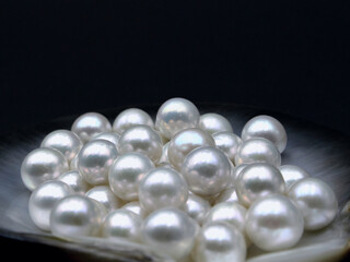 Expensive luxurious Chinese freshwater round pearls in a white shell, to be made into earrings, pendants or necklaces and sold in jewelry store. Popular feminine wedding accessory.