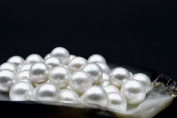 Expensive luxurious Chinese freshwater round pearls in a white shell, to be made into earrings, pendants or necklaces and sold in jewelry store. Popular feminine wedding accessory.