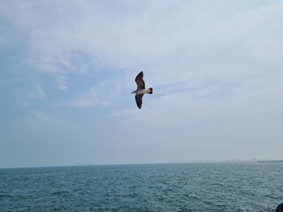 Malecón Veracruz, México 