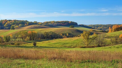 Rolling Green Hills with Autumn Trees on a Clear Day