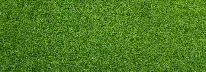 Green artificial grass as background, banner design