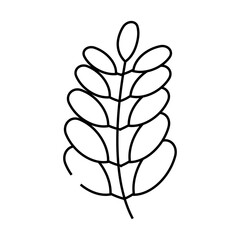 moringa bio vitamin food line icon vector. moringa bio vitamin food sign. isolated contour symbol black illustration