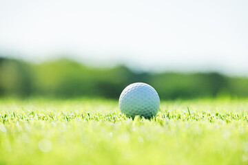 新緑の芝生が綺麗なゴルフ場