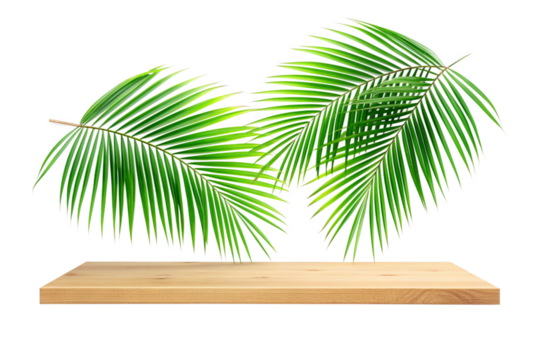 Wood plank board top shelf with green palm leaves png
