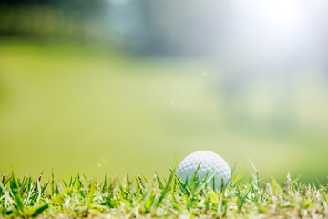 新緑の芝生が綺麗なゴルフ場