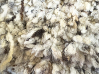Background with natural sheep wool texture