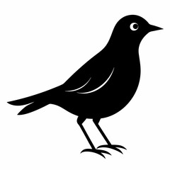 lark isolated on white background, lark vector illustration, bird on a branch vector art, lark silhouette, bird vector icon, Ducks on a branch line art, eps
