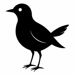 lark isolated on white background, lark vector illustration, bird on a branch vector art, lark silhouette, bird vector icon, Ducks on a branch line art, eps
