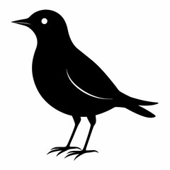 lark isolated on white background, lark vector illustration, bird on a branch vector art, lark silhouette, bird vector icon, Ducks on a branch line art, eps
