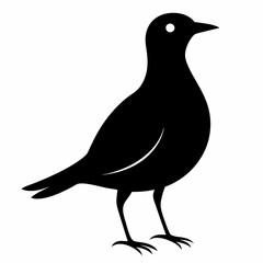 lark isolated on white background, lark vector illustration, bird on a branch vector art, lark silhouette, bird vector icon, Ducks on a branch line art, eps
