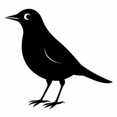 lark isolated on white background, lark vector illustration, bird on a branch vector art, lark silhouette, bird vector icon, Ducks on a branch line art, eps
