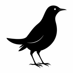 lark isolated on white background, lark vector illustration, bird on a branch vector art, lark silhouette, bird vector icon, Ducks on a branch line art, eps
