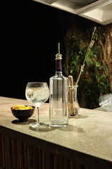 Gin and Tonic with Liquor Bottle and Bar Tools - Perfect Cocktail Setup
