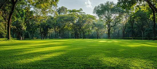 Obraz premium Green Meadow Landscape