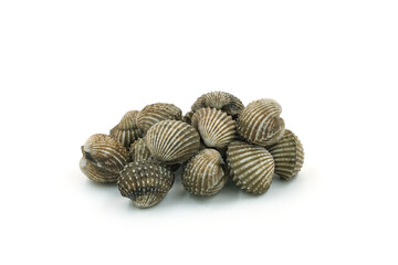 Fresh cockles on white background