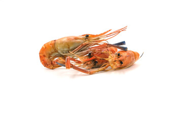 Grilled shrimp on a white background. Seafood. Natural symptoms