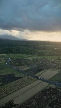 aerial view of the balinese rice terrace