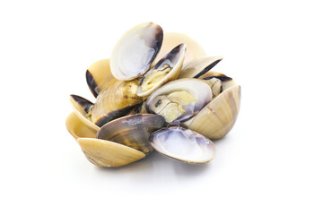 Closed up fresh baby clams, venus shell, shellfish, carpet clams, short necked clams, as raw food from the sea are the seafood ingredients. fresh clams Background. seafood.Isolated on white background