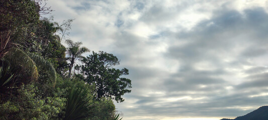 Obraz premium Sea river water beach cove ocean wave sand land stone rock mountain hill forest tree flowers bushes vegetation blue sky cloudy cloud horizon landscape island vacation surfing sport life nature