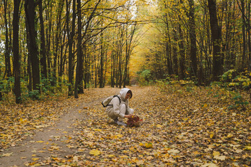 A woman walks through a tranquil forest, surrounded by trees adorned with vibrant autumn foliage....