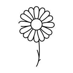 chamomile flower line icon vector. chamomile flower sign. isolated contour symbol black illustration
