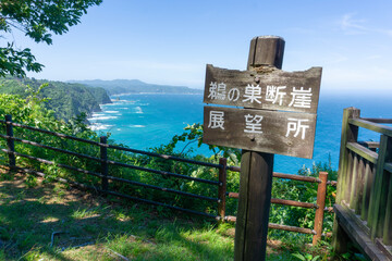 鵜の巣断崖の風景