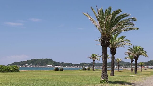 千葉県館山市　海岸