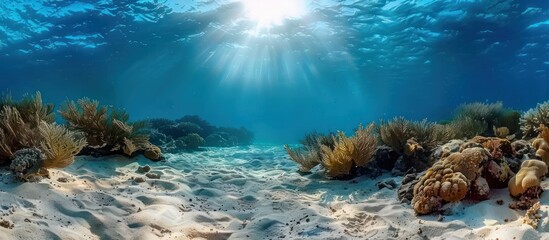 Sunlight Illuminating Underwater Coral Reef