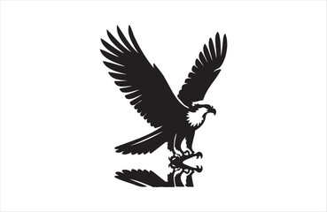 Fototapeta premium a silhouette vector of Osprey icon in white background