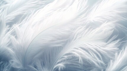 Fototapeta premium White Feather Texture: Soft, delicate, and ethereal, a close-up photograph of pristine white feathers bathed in soft light.