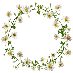 Daisy chain frame illustration