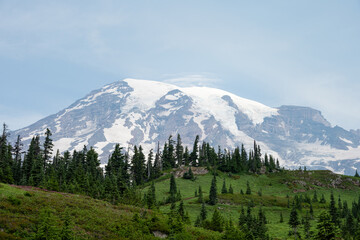 Obraz premium Mount Rainier on a sunny summer day, peaceful recreation landscape, Mt Rainier National Park 