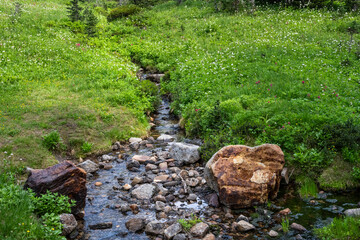 Dead horse creak flowing through a subalpine meadow and forest, peaceful recreation landscape on a...