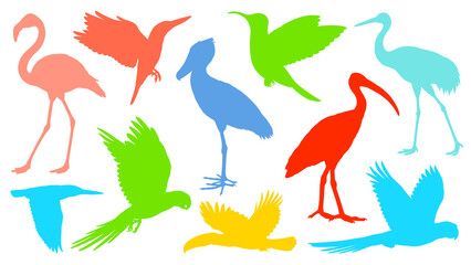 Obraz premium Colorful silhouette illustrations of various birds isolated on transparent background