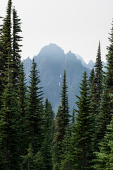 Smoke smog air pollution from wildfires hanging over rocky peaks of the Tatoosh Mountain Range with subalpine forest in foreground, Mt Rainier National Park
