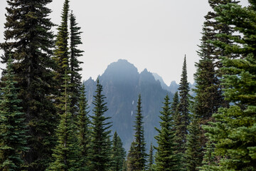 Smoke smog air pollution from wildfires hanging over rocky peaks of the Tatoosh Mountain Range with subalpine forest in foreground, Mt Rainier National Park

